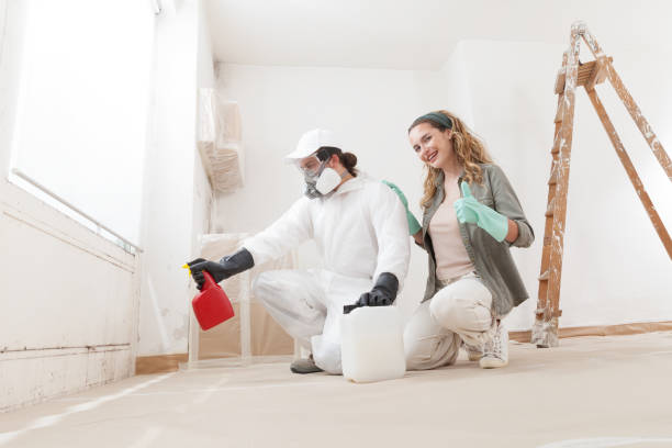 Reliable Edina, MO Mold Removal Solutions